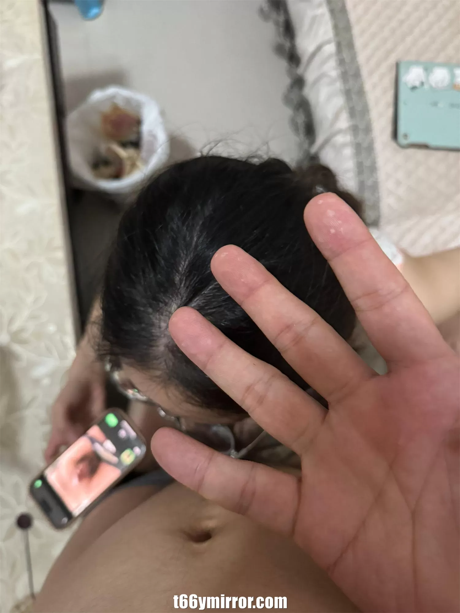t66ymirror.com14