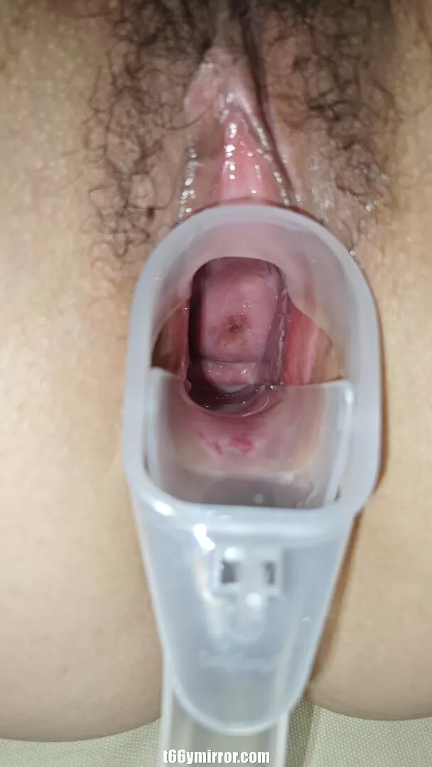 t66ymirror.com (8)