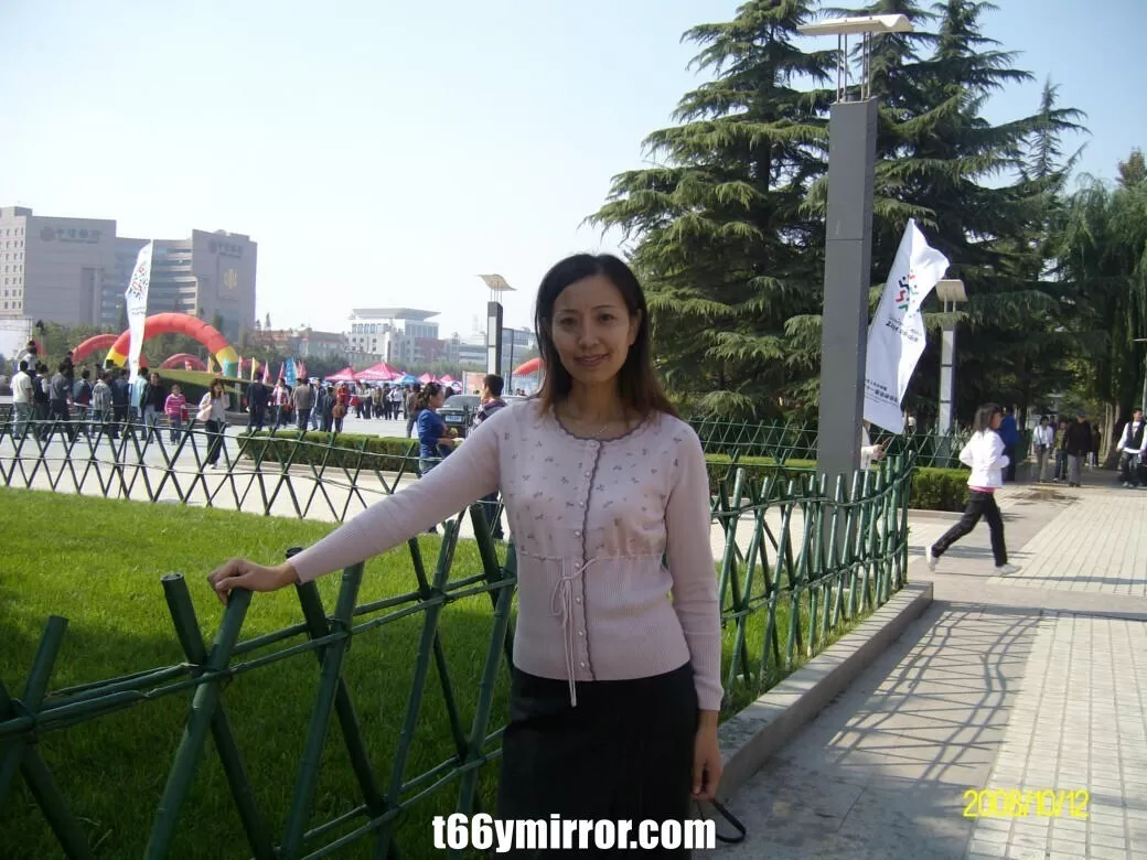 t66ymirror.com (2)