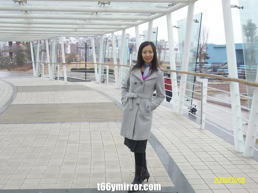 t66ymirror.com (4)