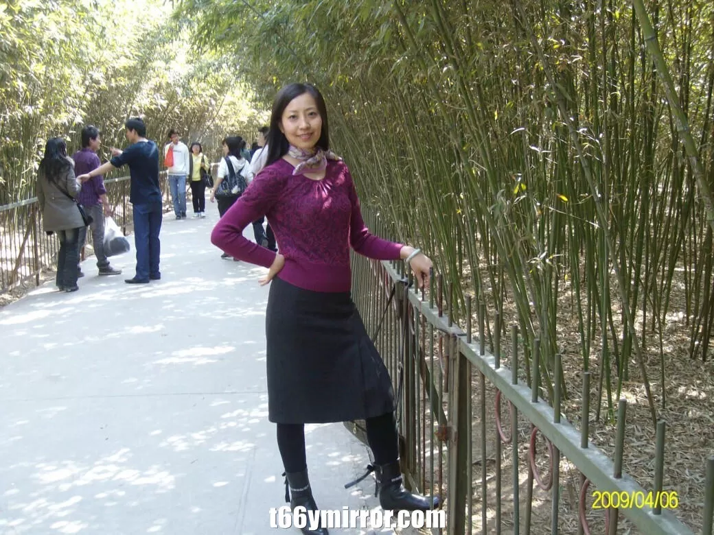 t66ymirror.com (13)