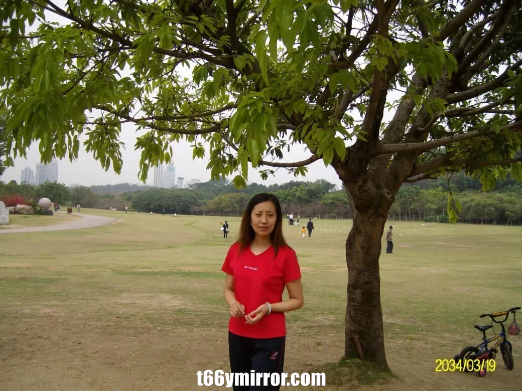 t66ymirror.com (21)