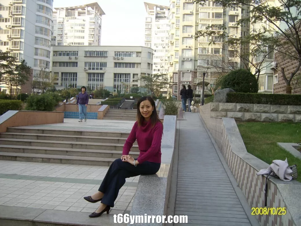 t66ymirror.com (25)