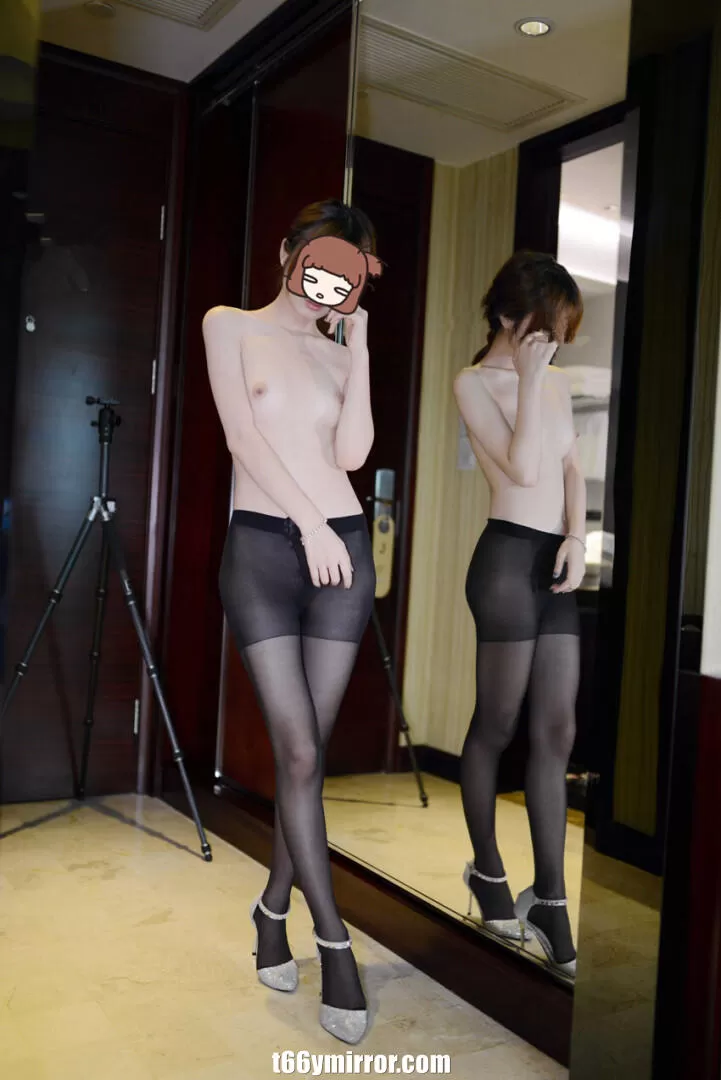 t66ymirror.com (2)