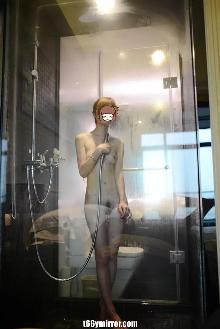 t66ymirror.com (9)