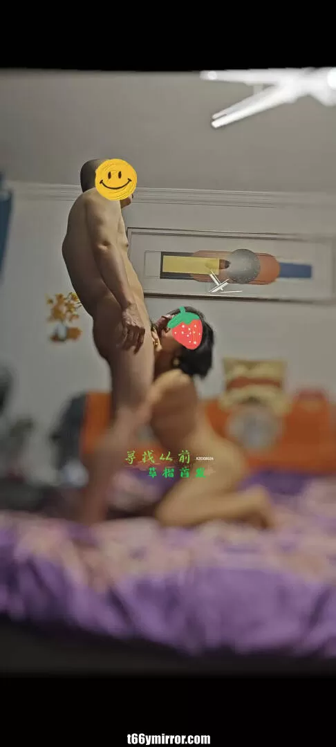 t66ymirror.com (24)