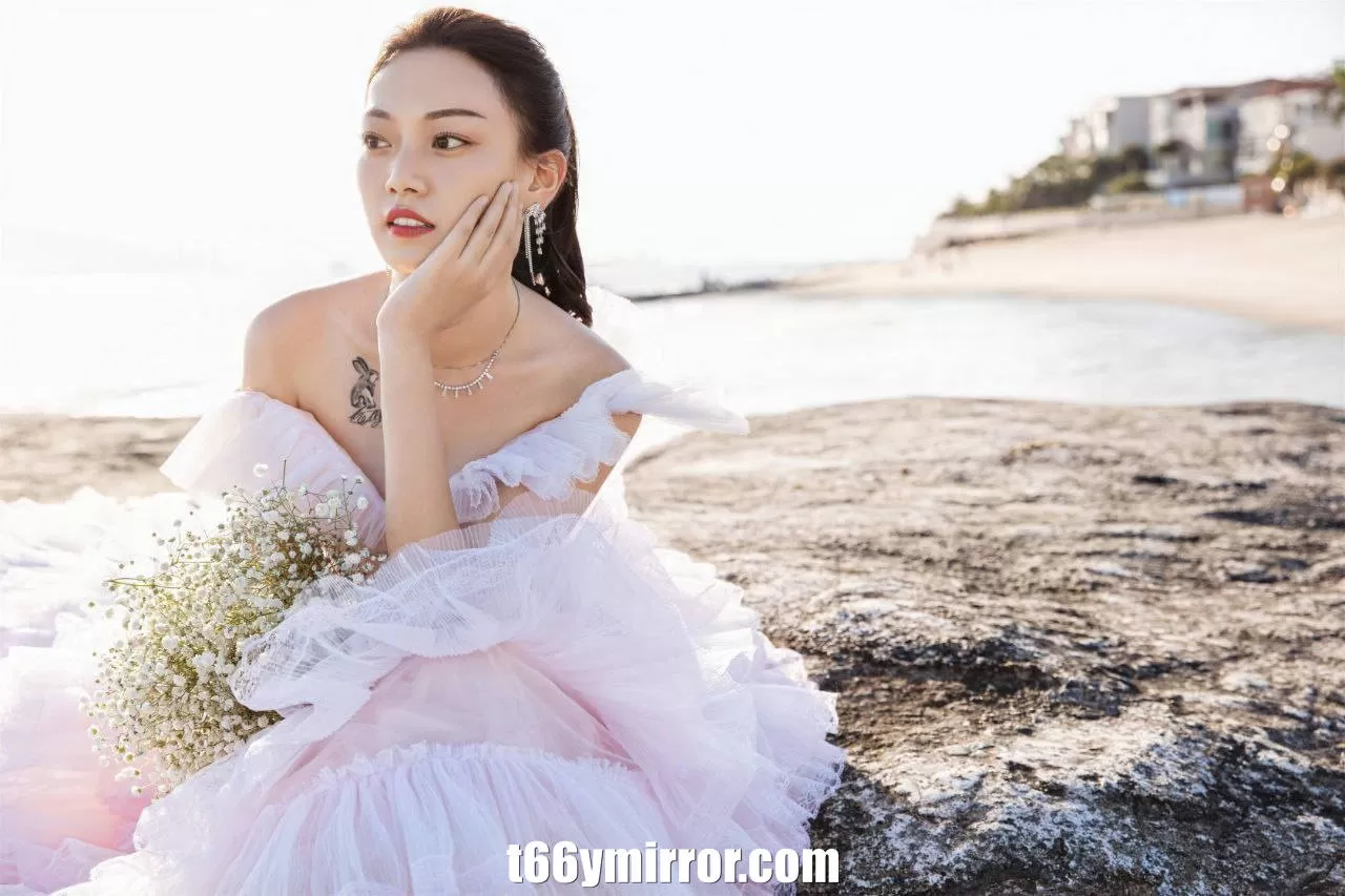 t66ymirror.com (1)
