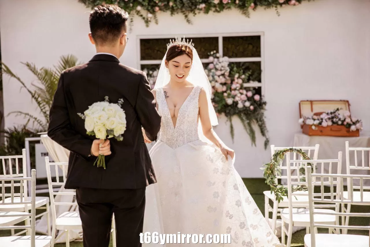 t66ymirror.com (2)