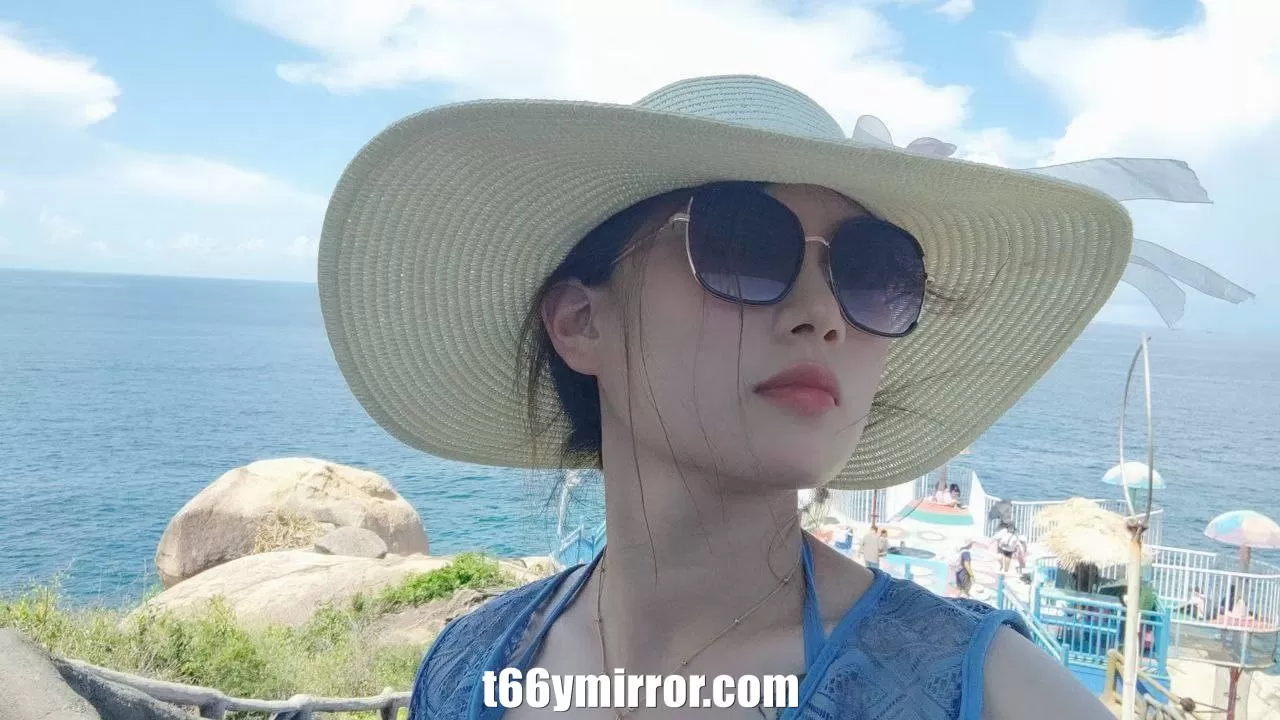 t66ymirror.com (5)