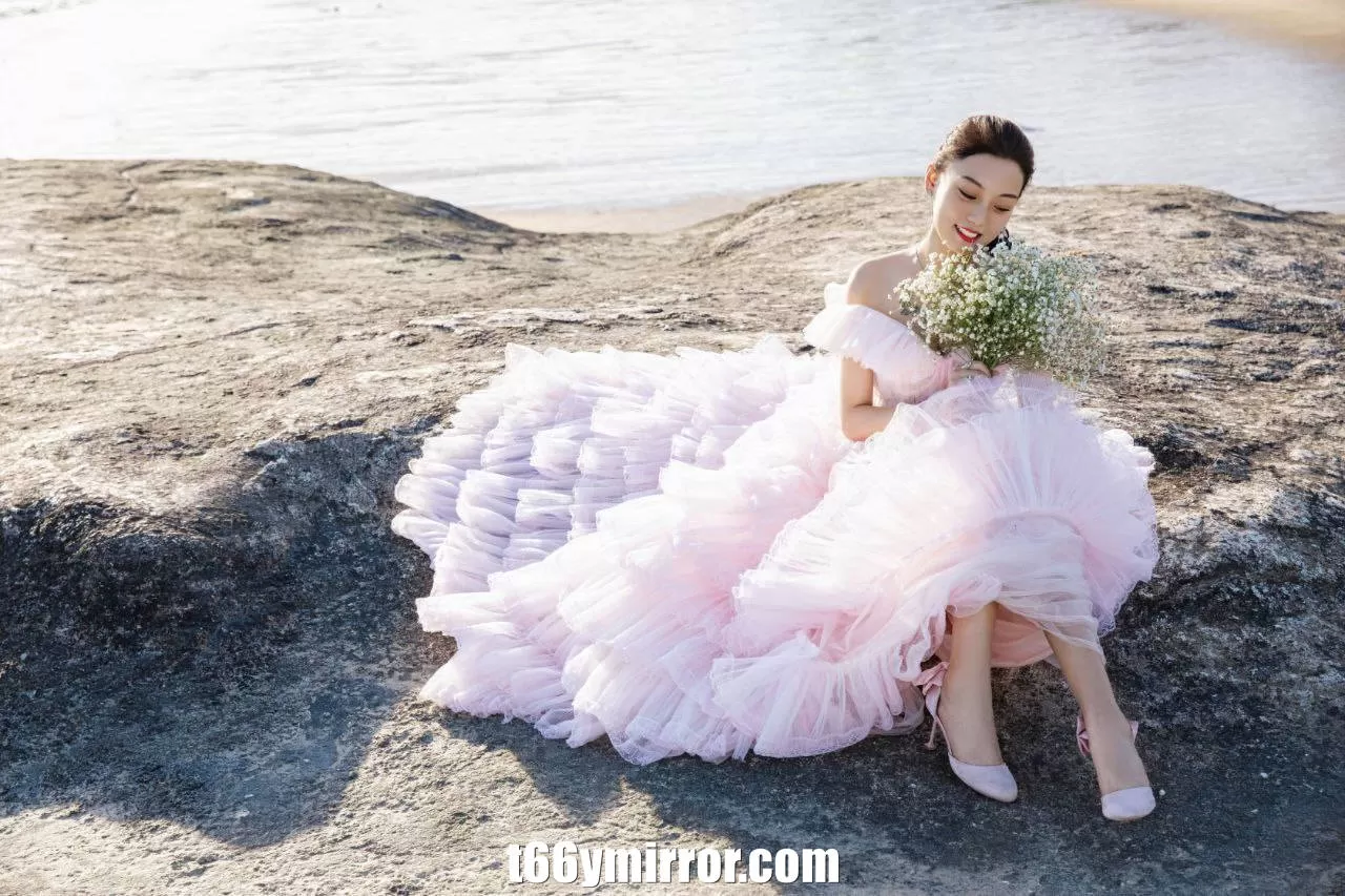 t66ymirror.com (14)