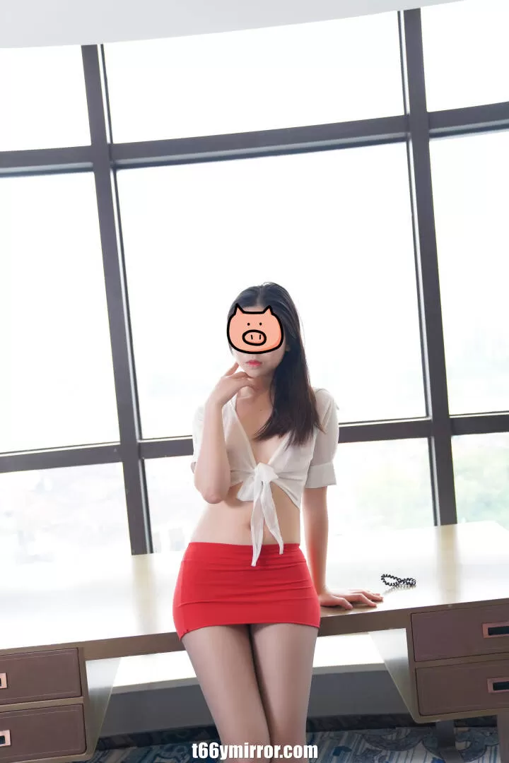t66ymirror.com (1)