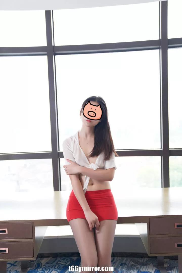 t66ymirror.com (2)