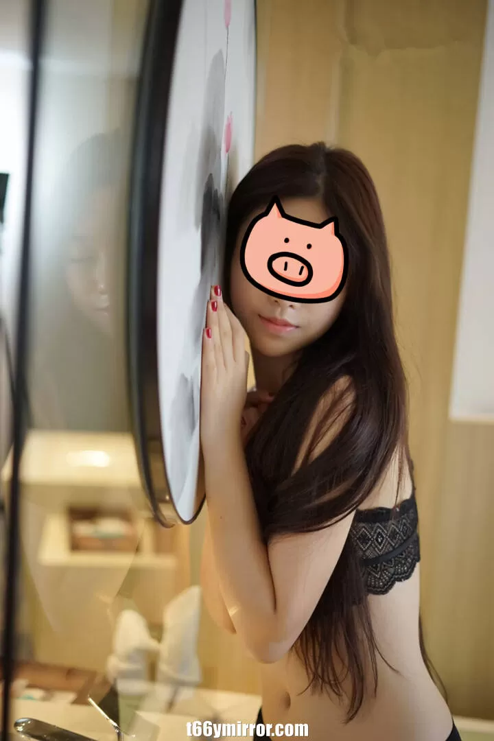 t66ymirror.com (4)