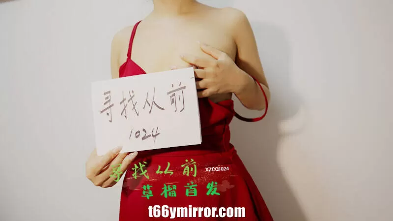 t66ymirror.com (13)
