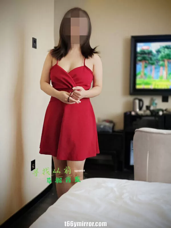 t66ymirror.com (23)