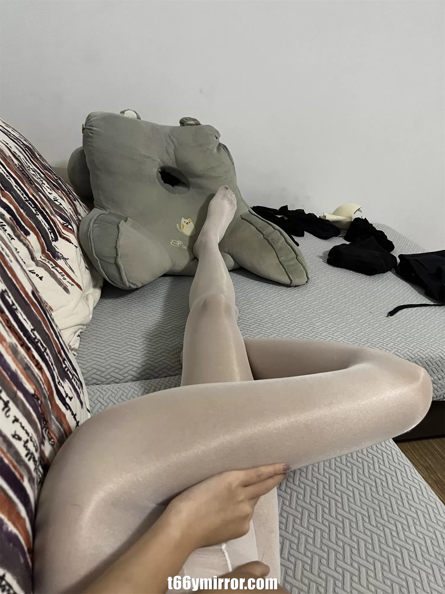 t66ymirror.com (14)