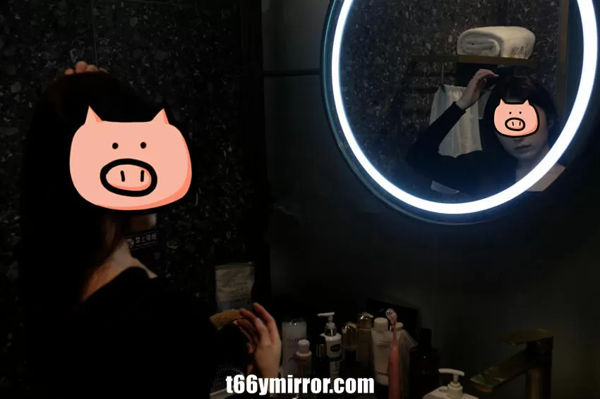 t66ymirror.com (1)