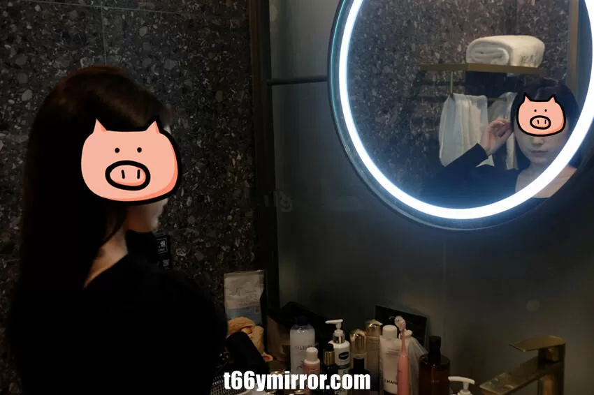 t66ymirror.com (2)