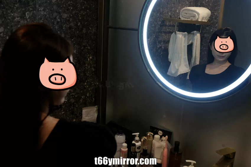 t66ymirror.com (3)