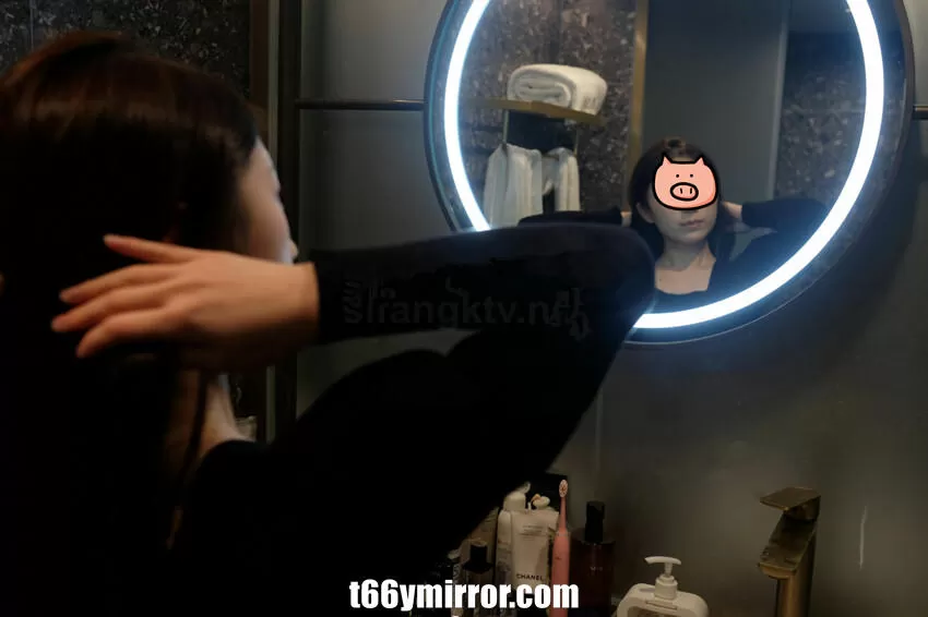t66ymirror.com (4)