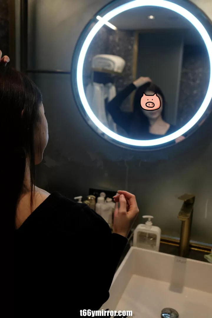 t66ymirror.com (5)