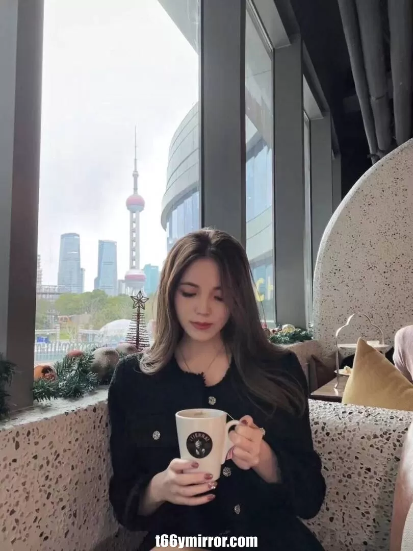 t66ymirror.com25
