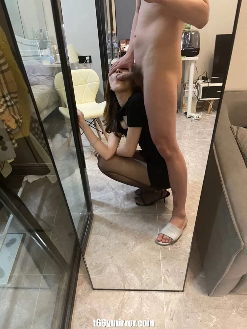t66ymirror.com26