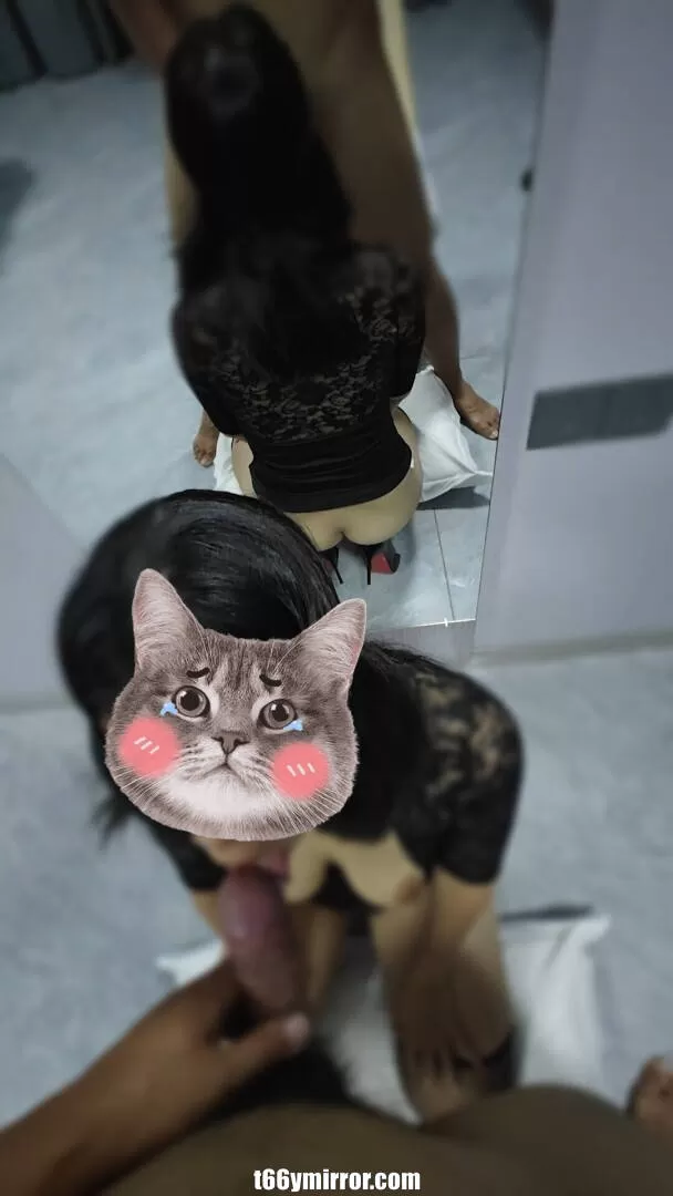 t66ymirror.com (28)