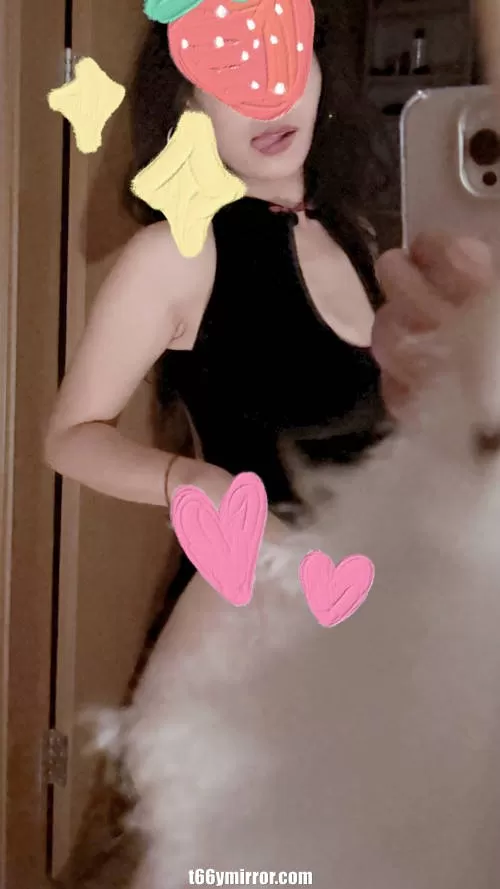 t66ymirror.com (4)