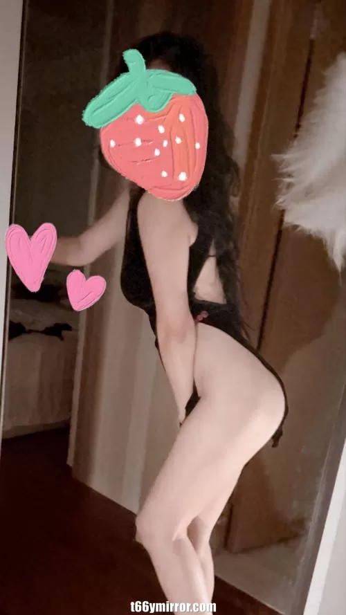t66ymirror.com (15)