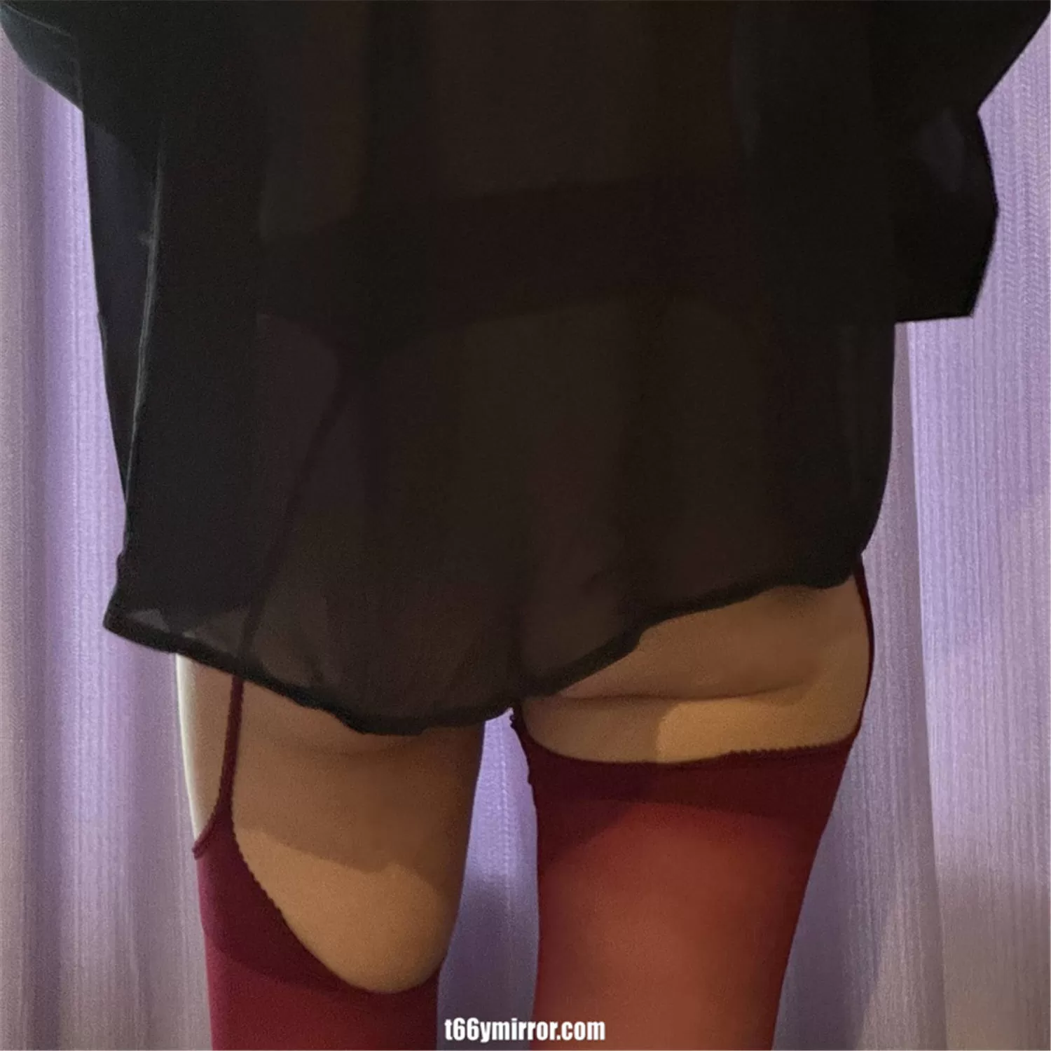 t66ymirror.com017