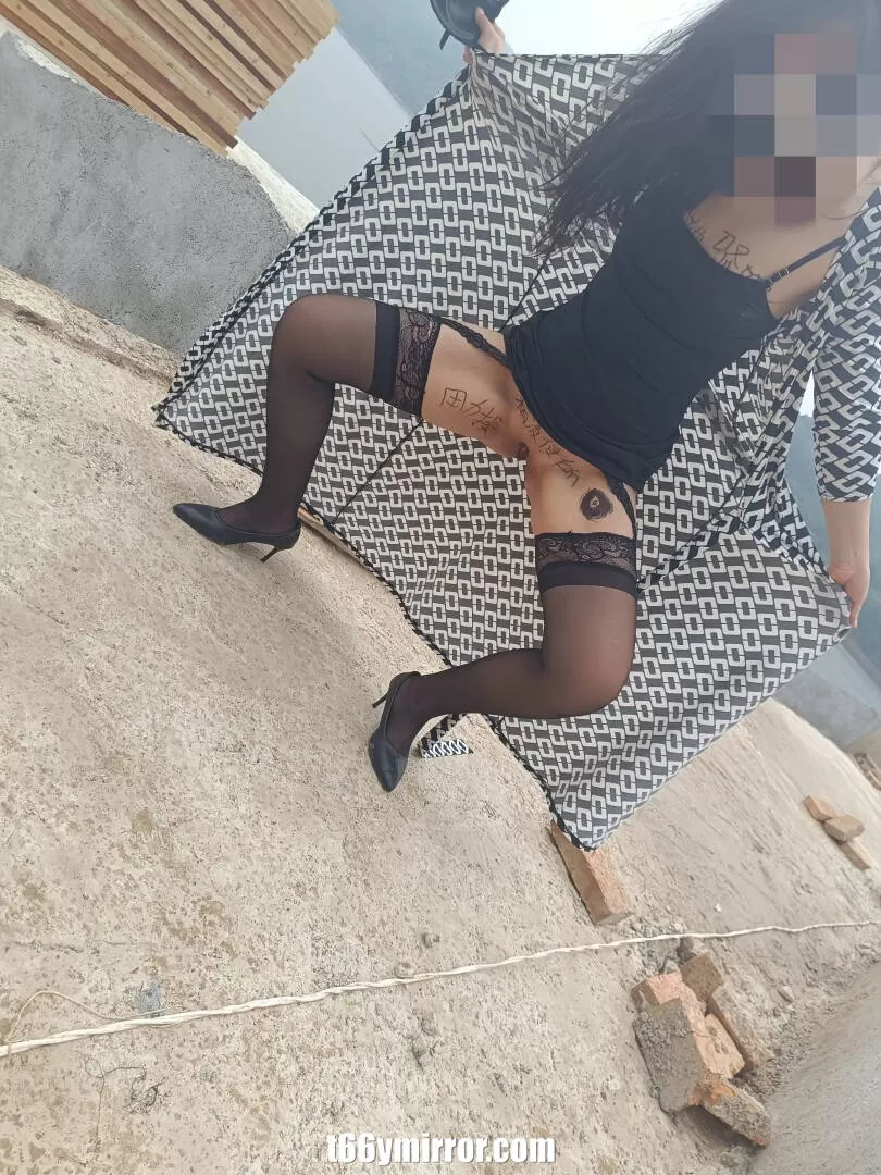 t66ymirror.com003