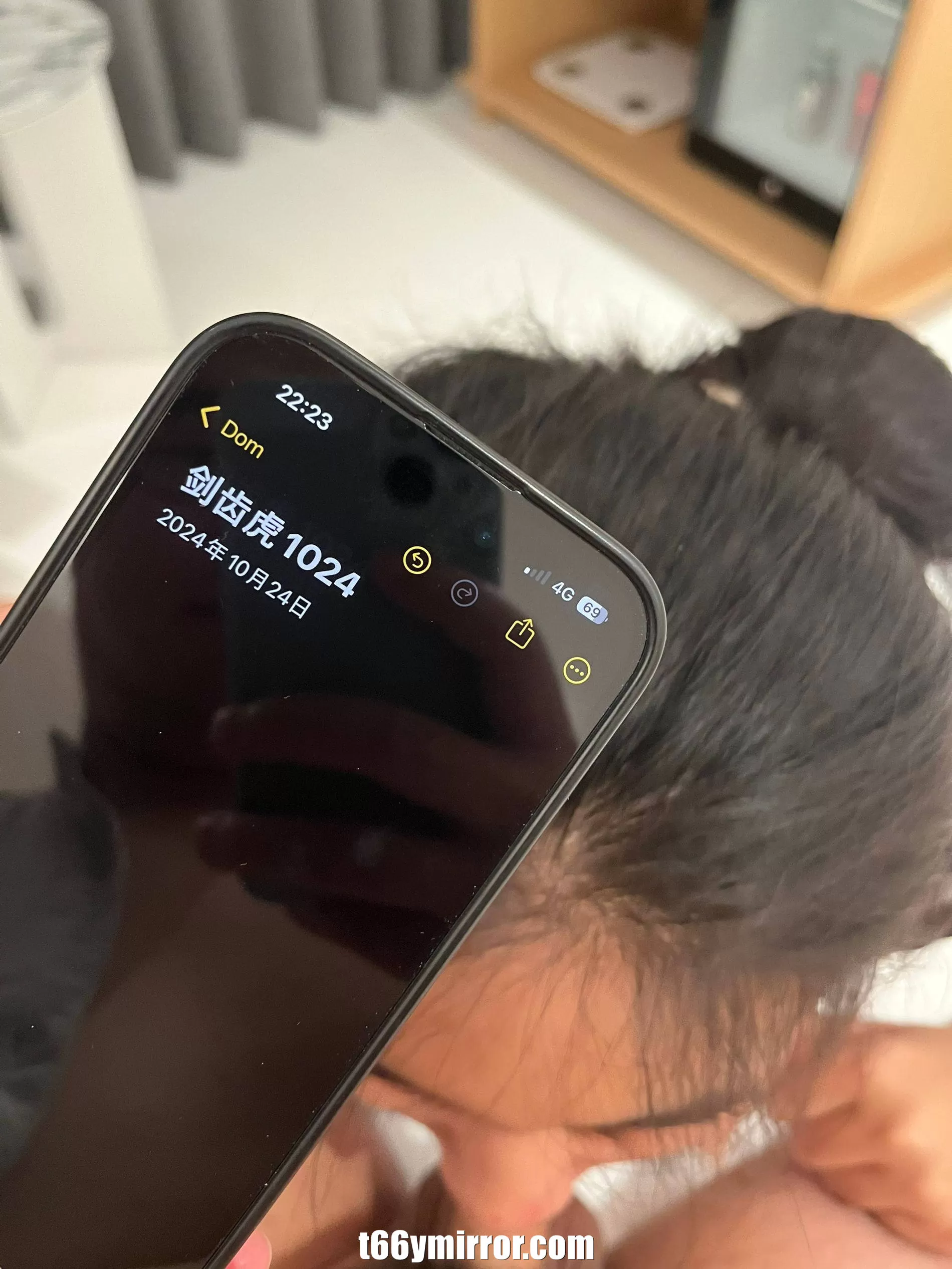 t66ymirror.com005