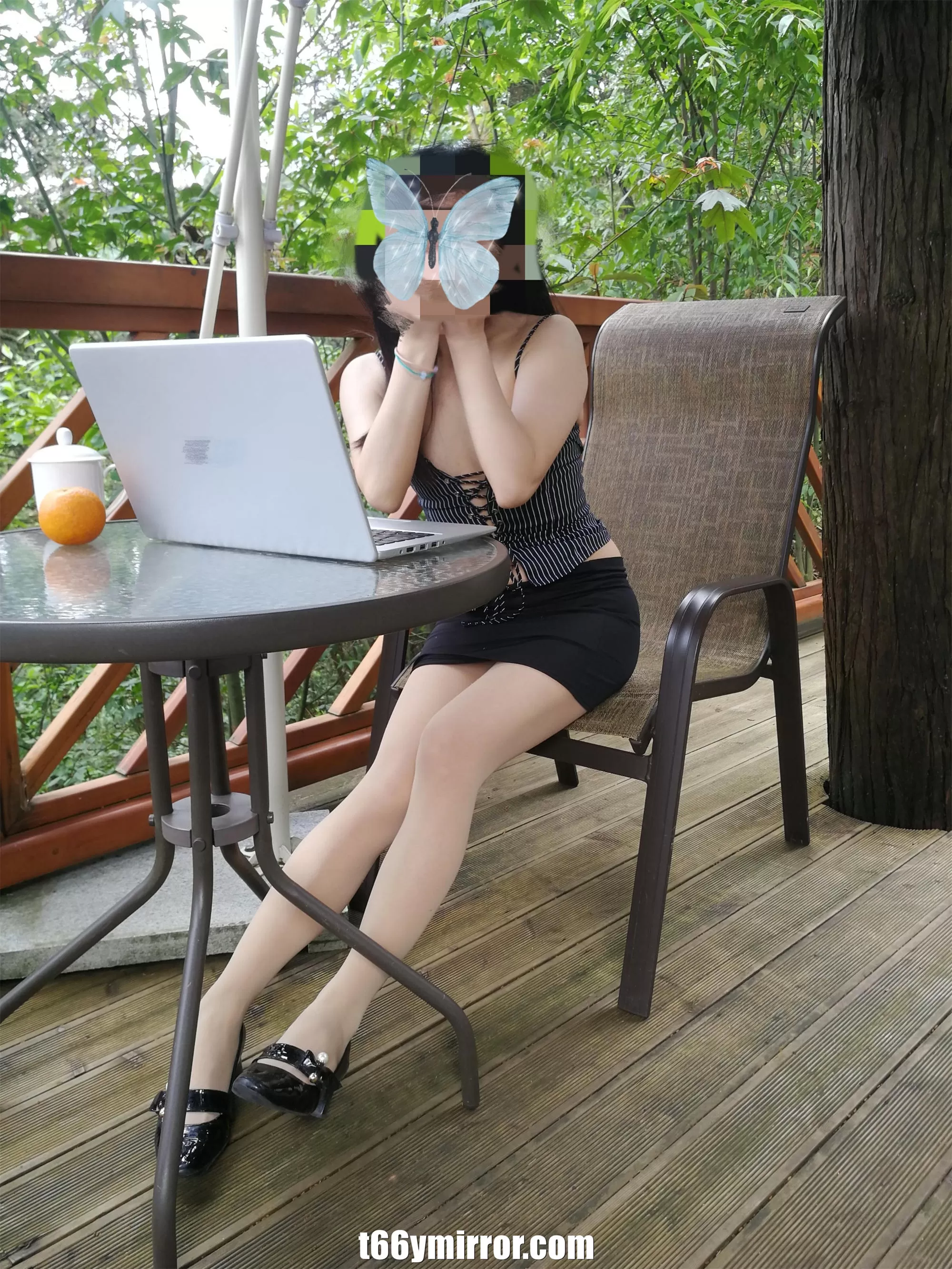 t66ymirror.com (2)