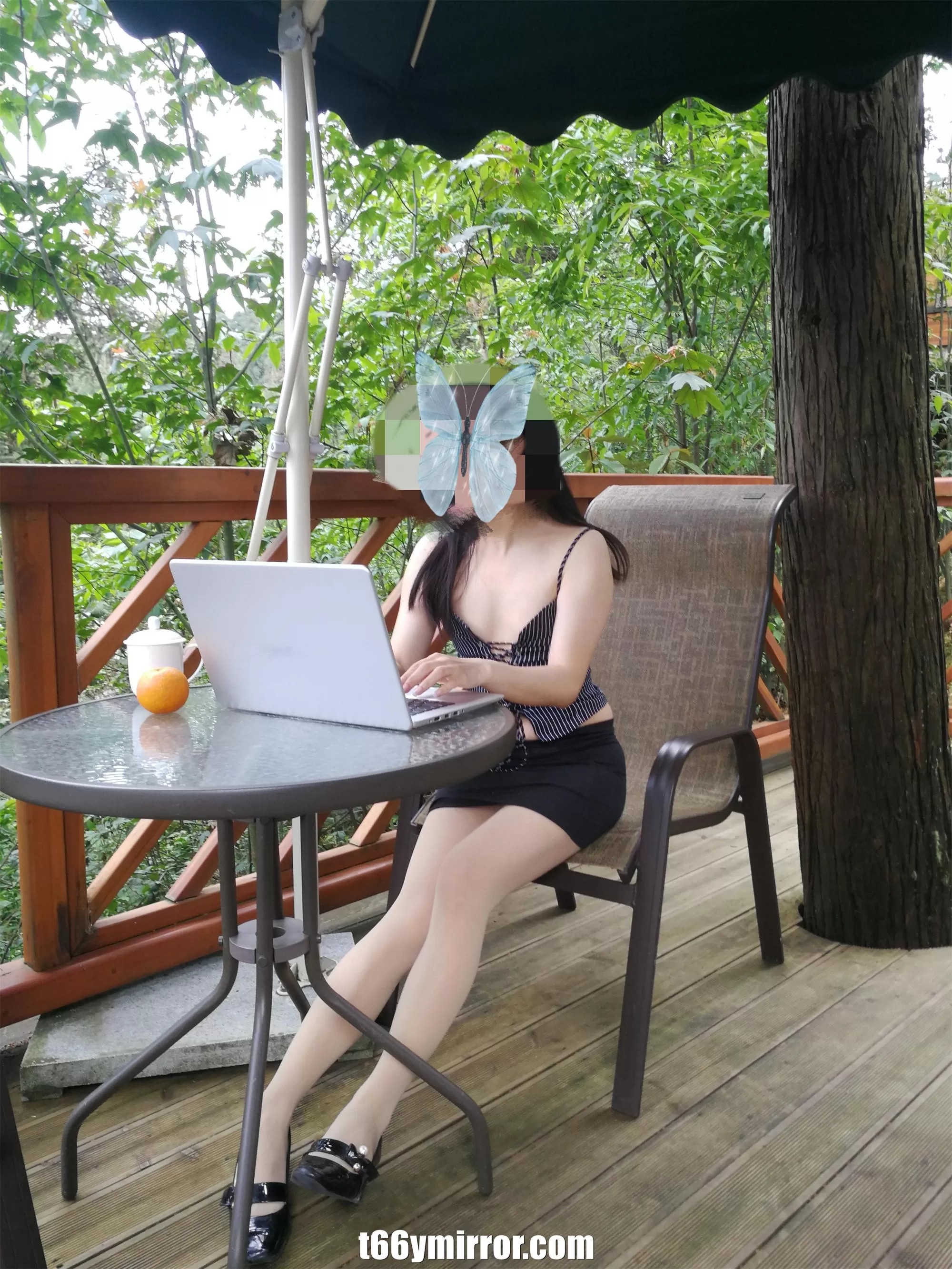 t66ymirror.com (6)