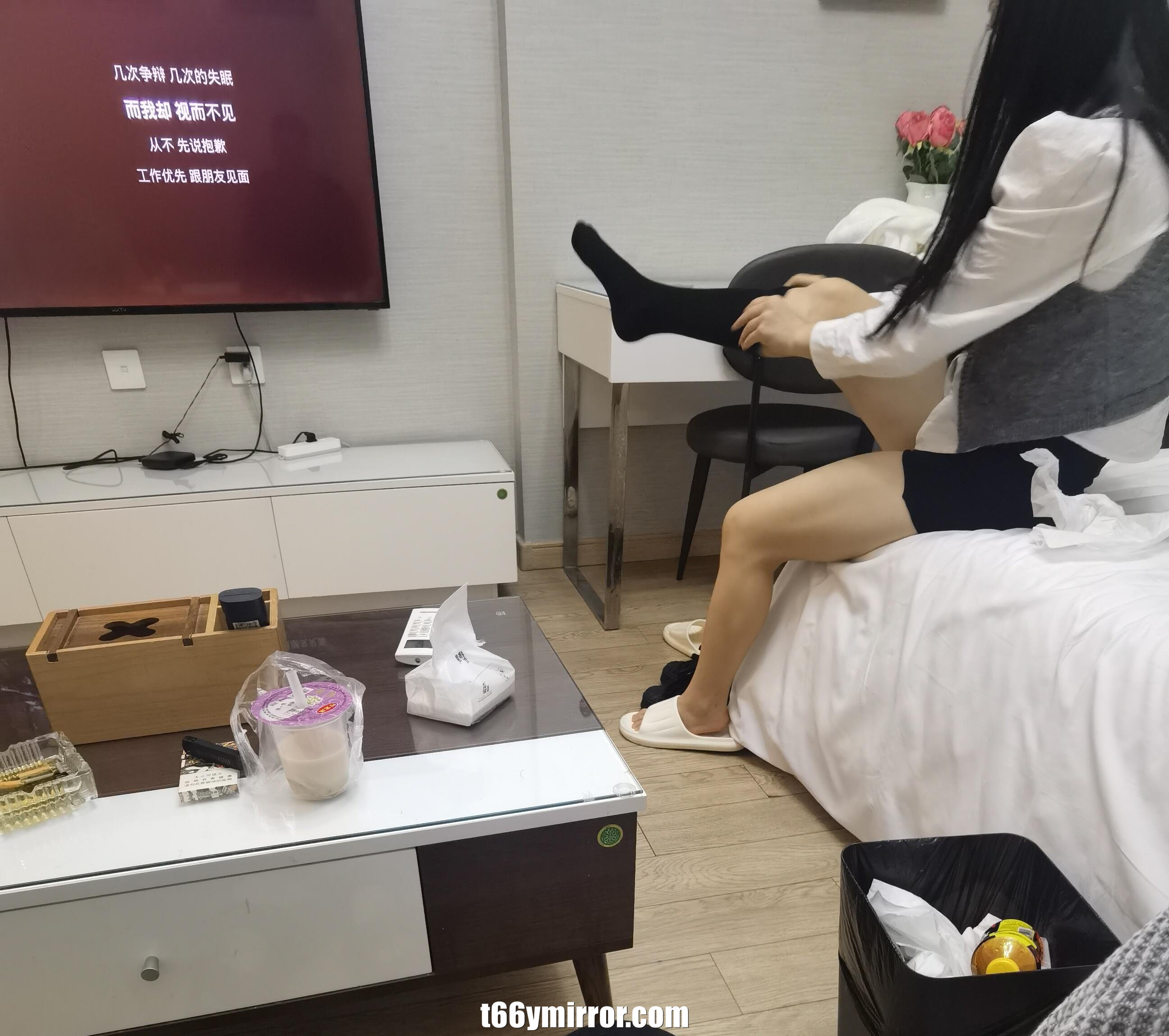 t66ymirror.com (24)