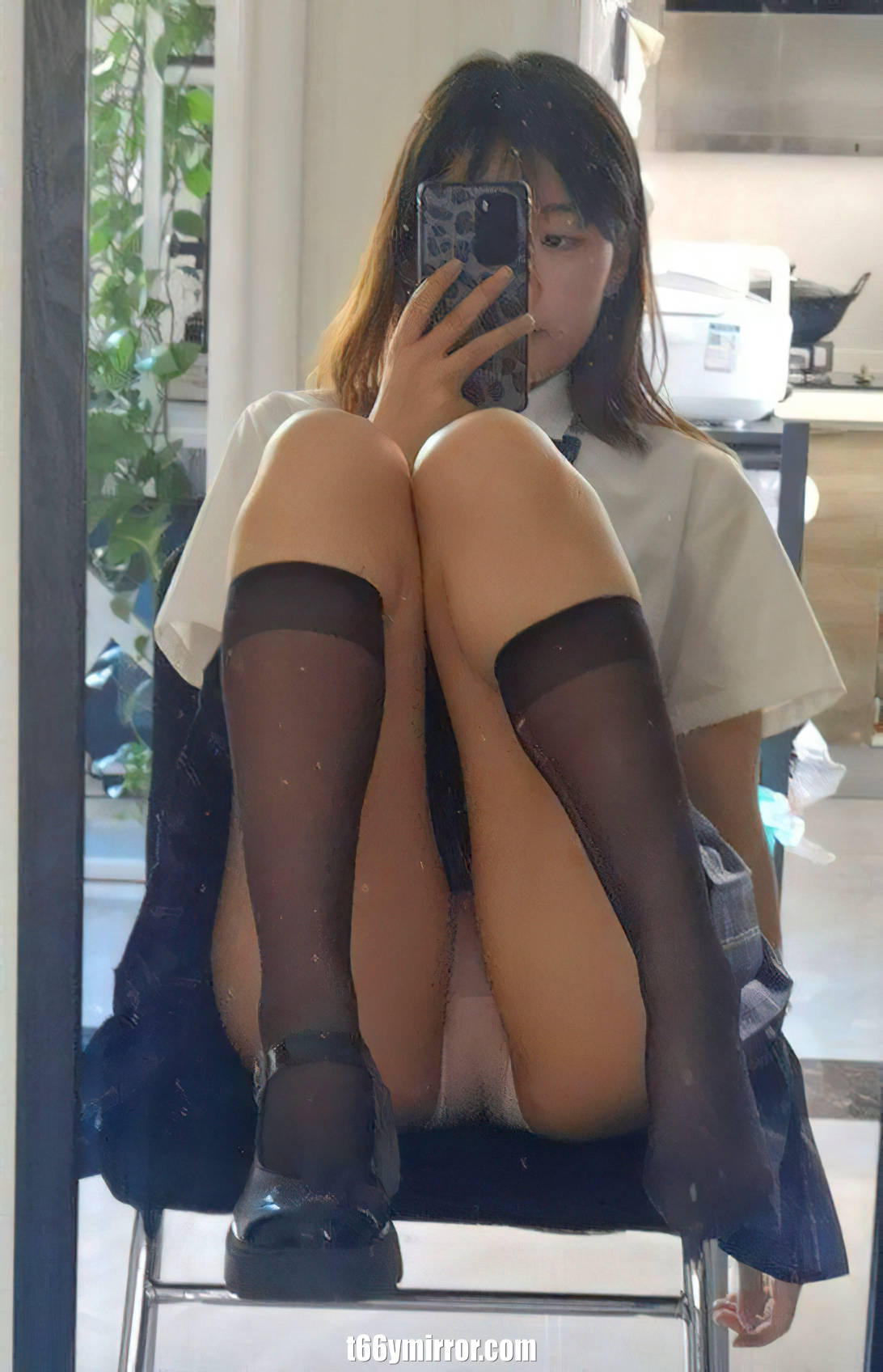 t66ymirror.com (3)