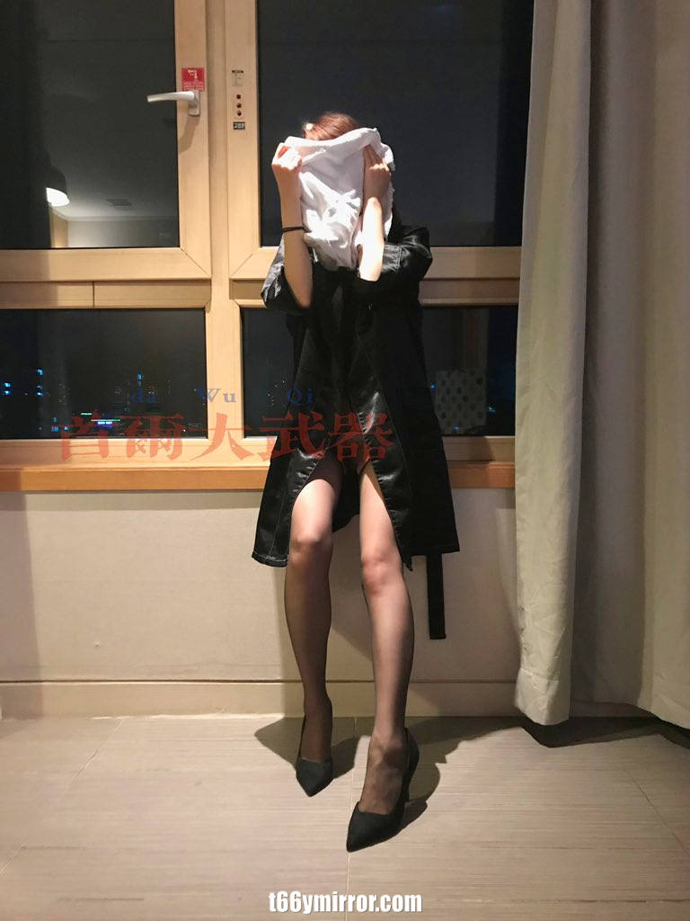 t66ymirror.com (5)