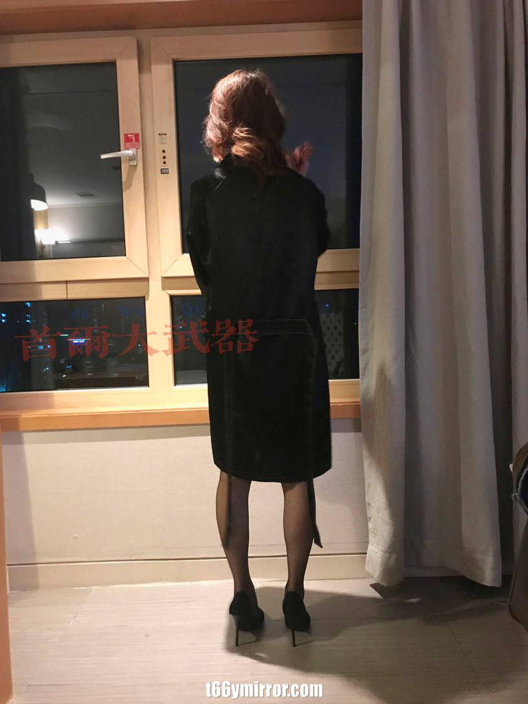 t66ymirror.com (6)
