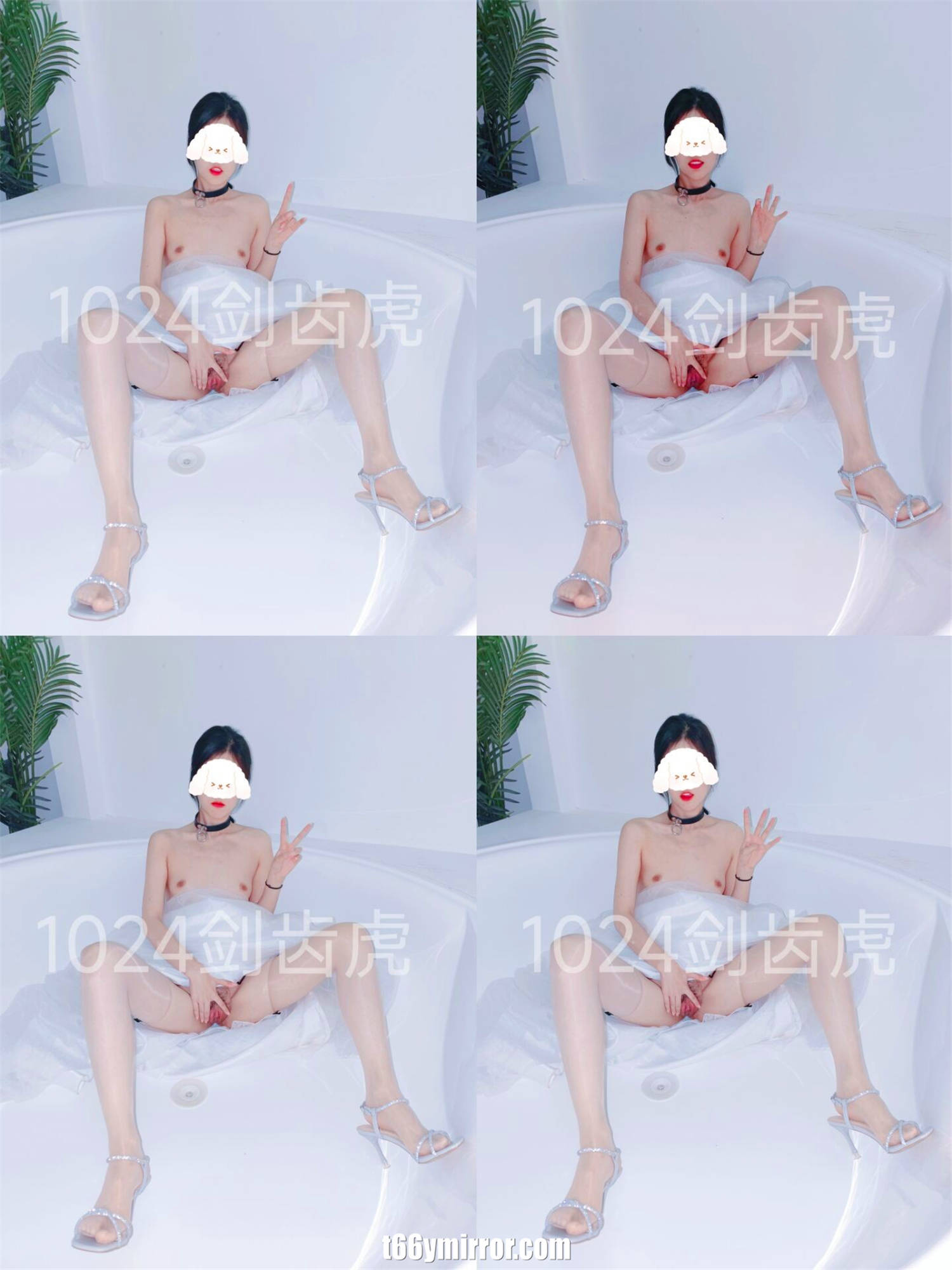 T66YMIRROR.COM (2)