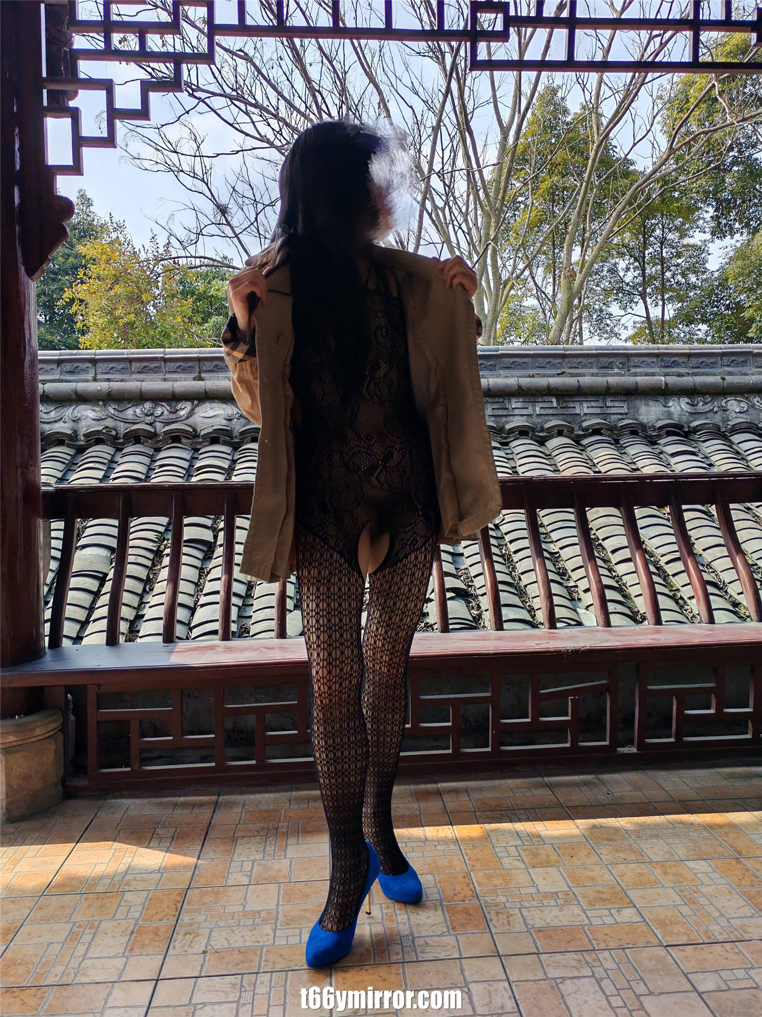 T66YMIRROR.COM (6)