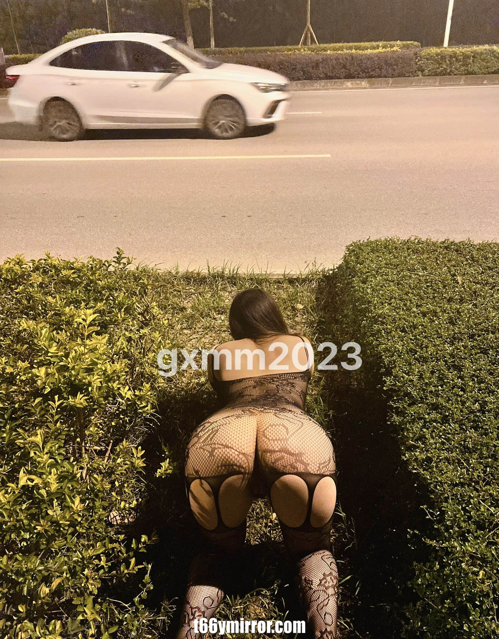 T66YMIRROR.COM (11)