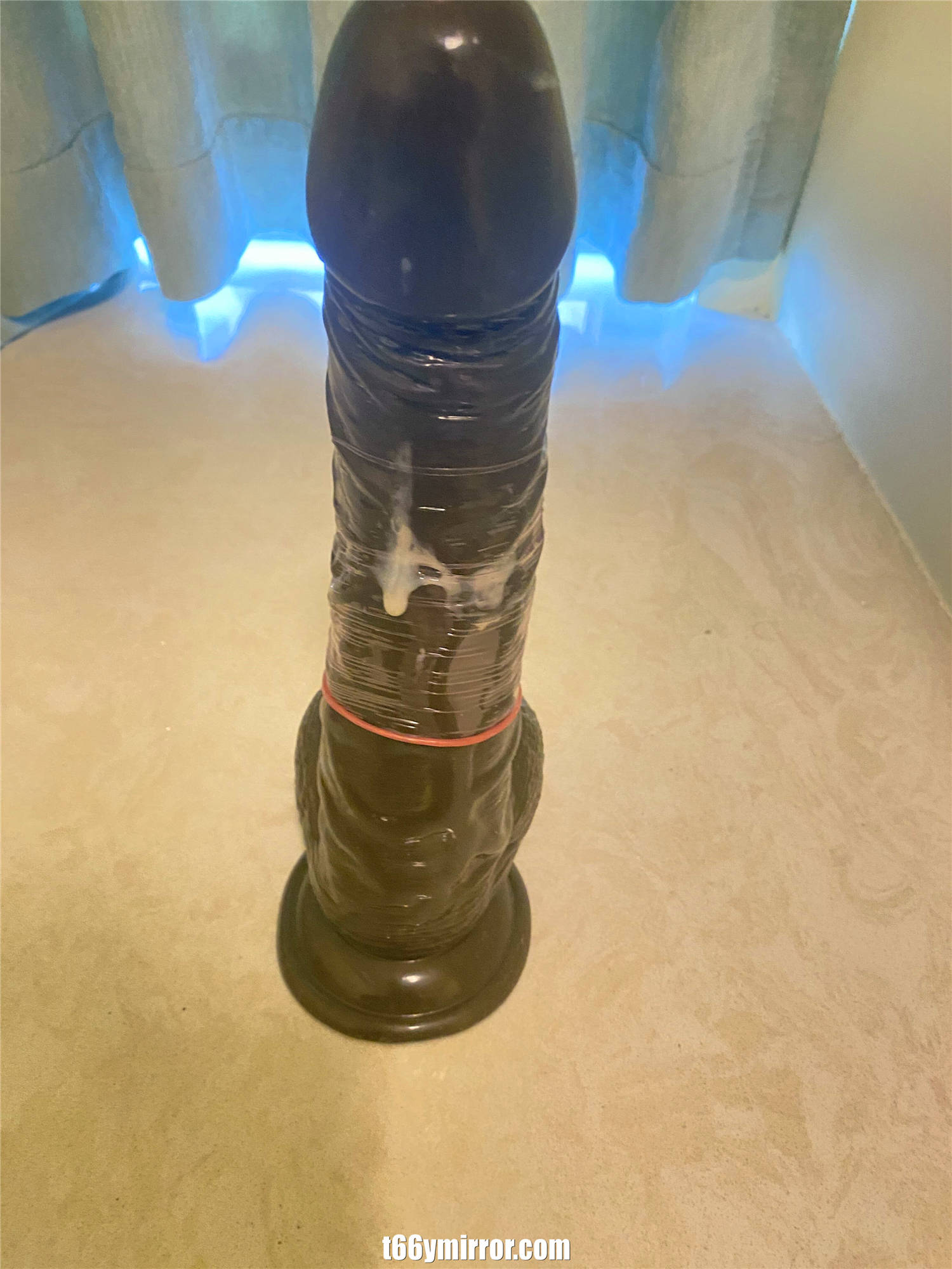 t66ymirror.com (51)