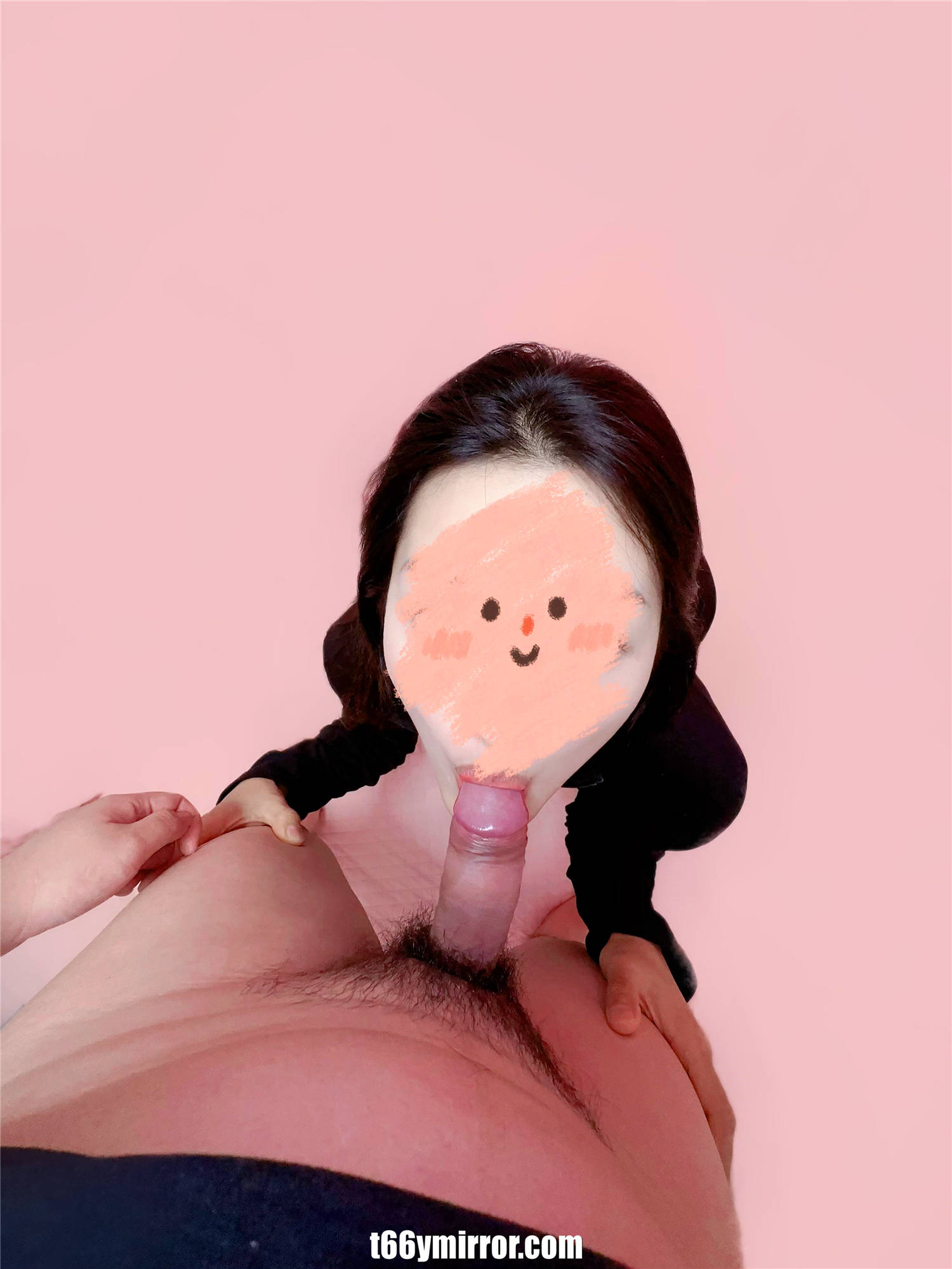 t66ymirror.com (18)