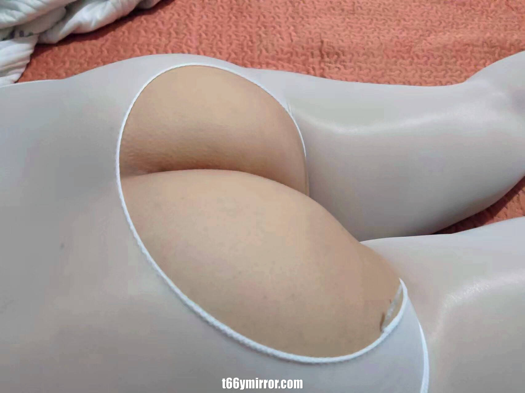 t66ymirror.com (54)