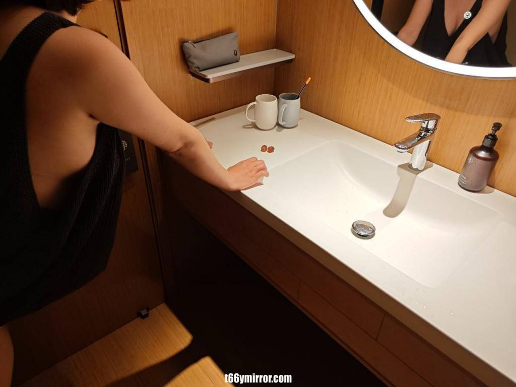 t66ymirror.com004