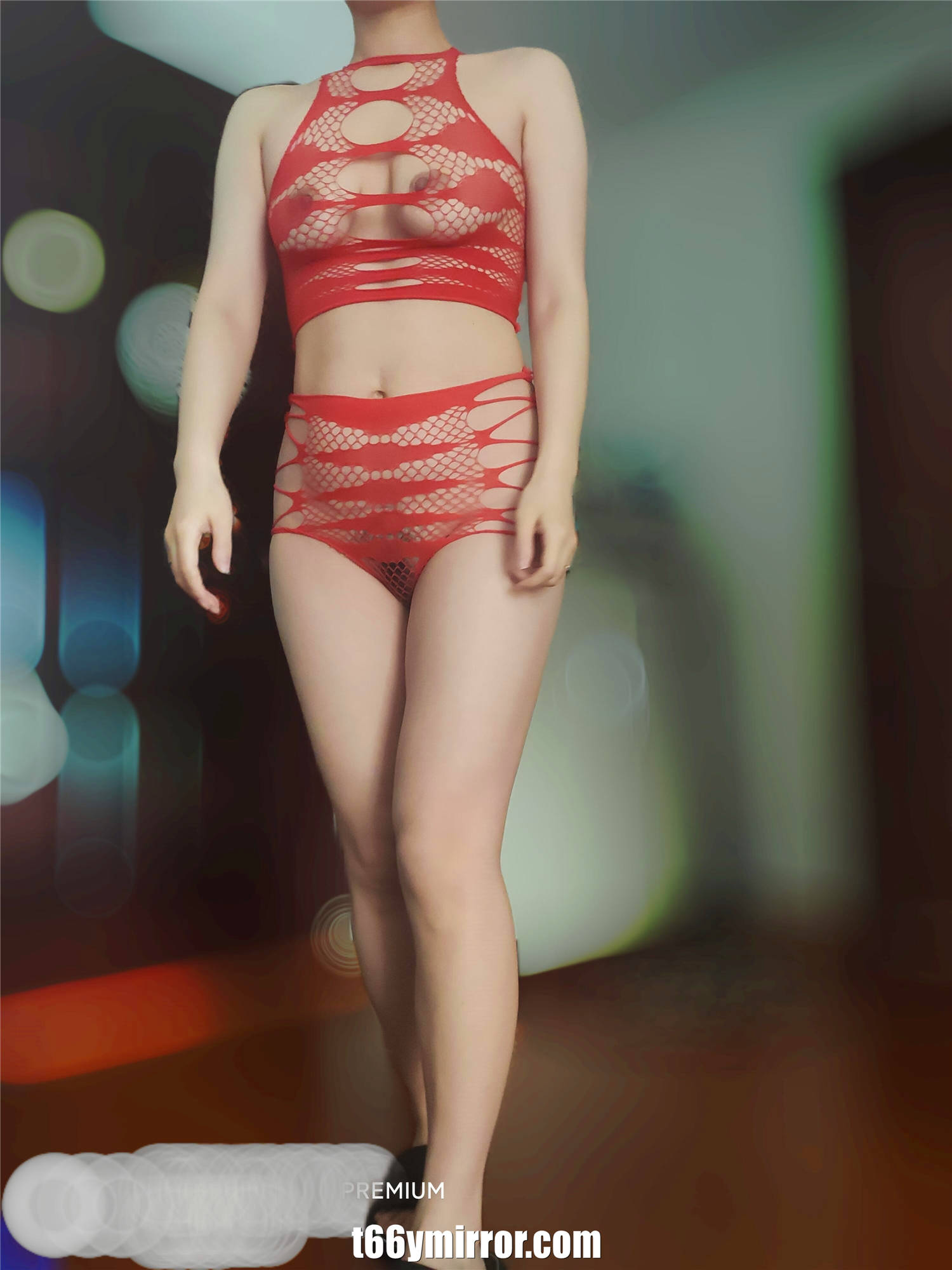 t6ymirror.com (22)