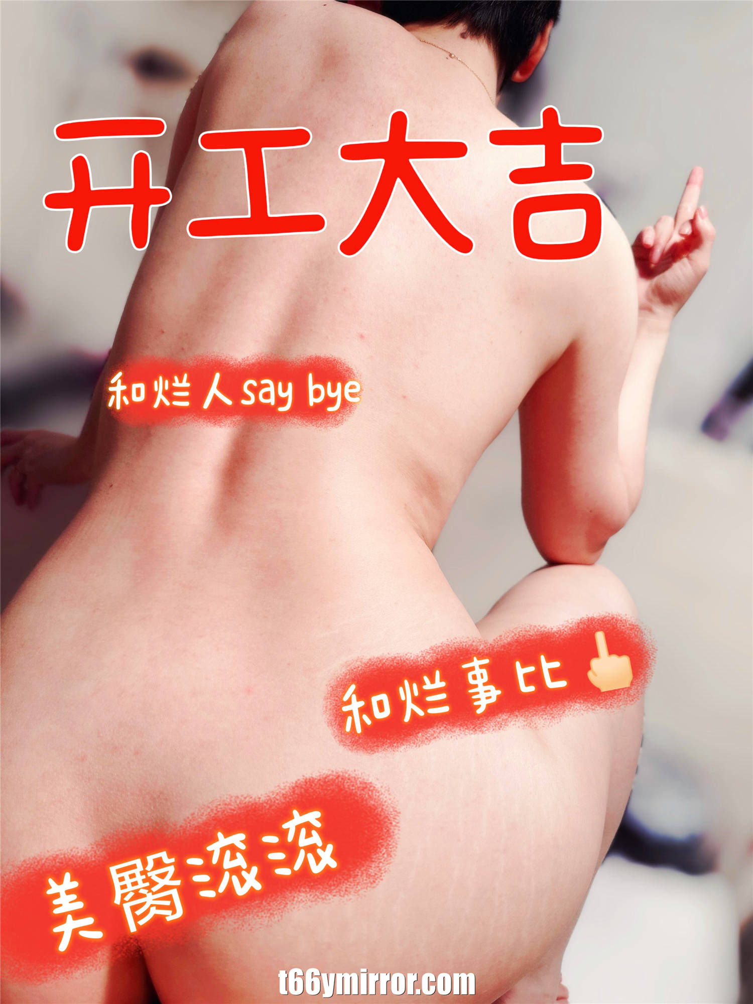 t6ymirror.com (24)