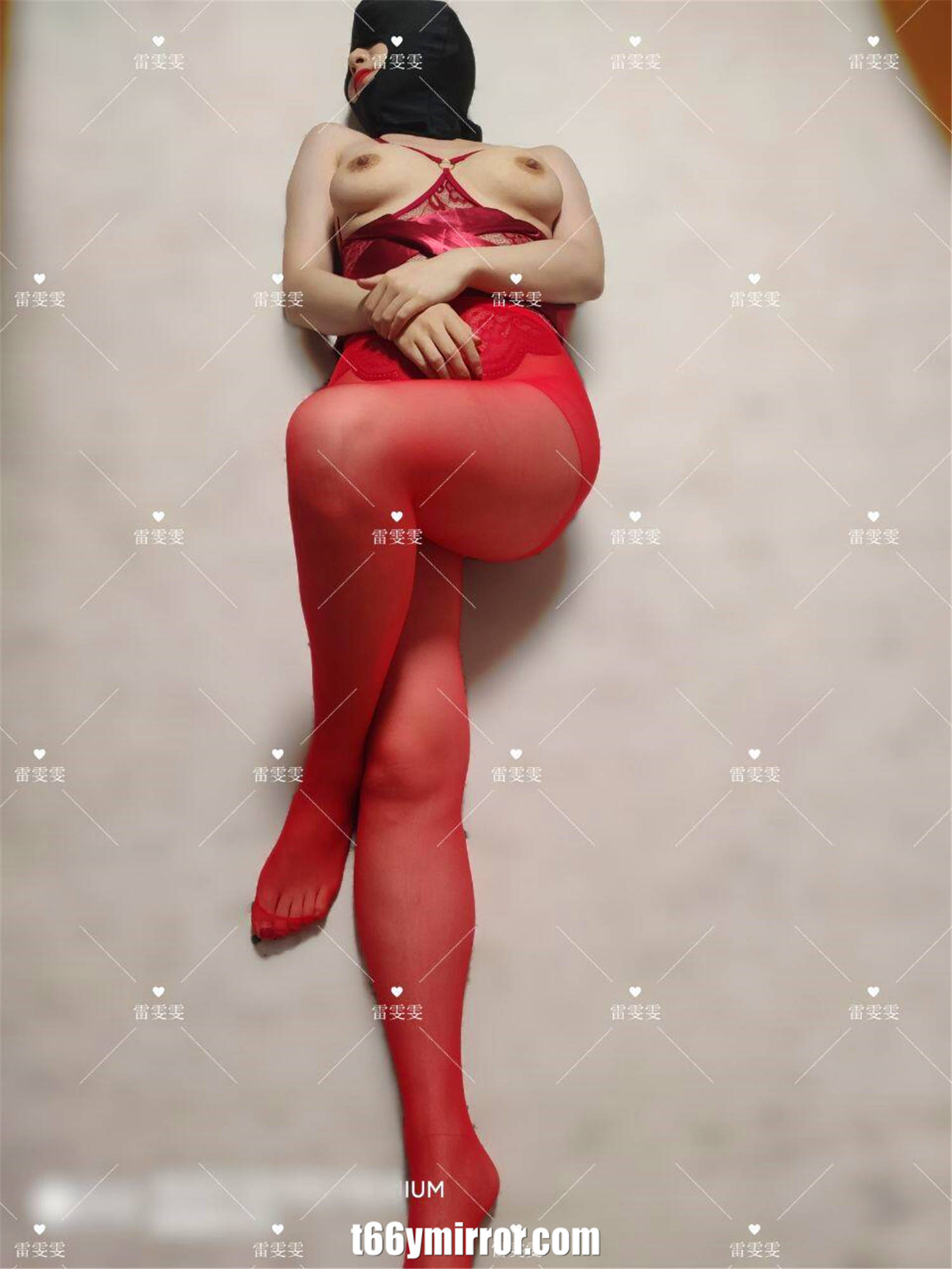 t6ymirror.com (31)