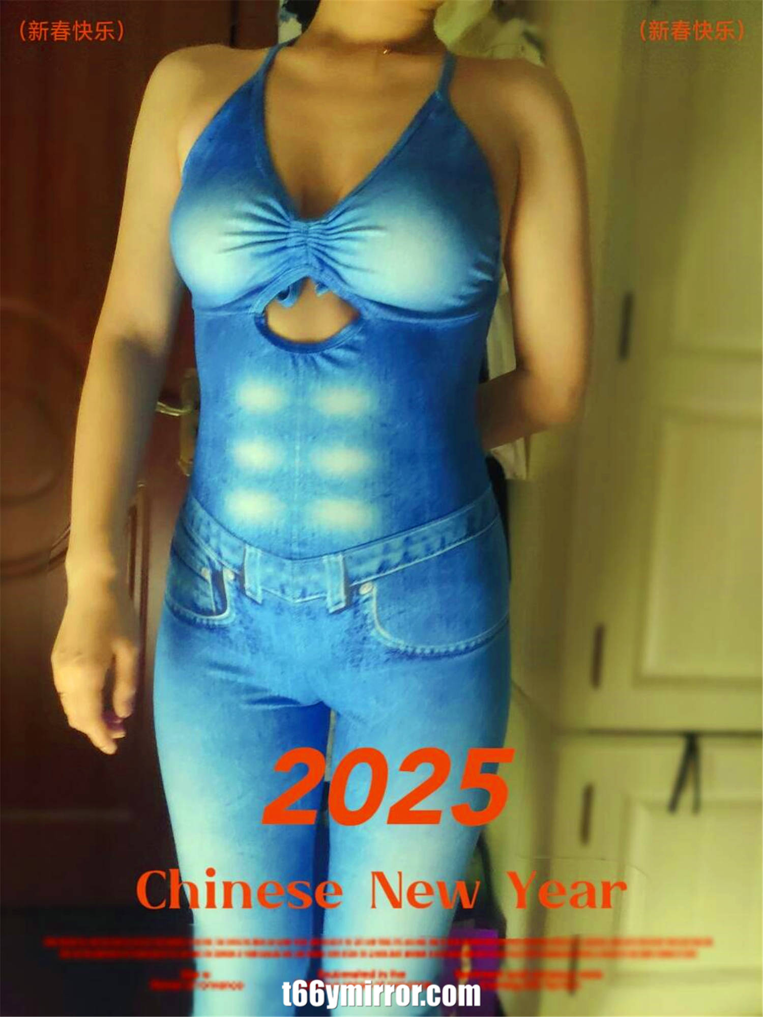 t6ymirror.com (51)